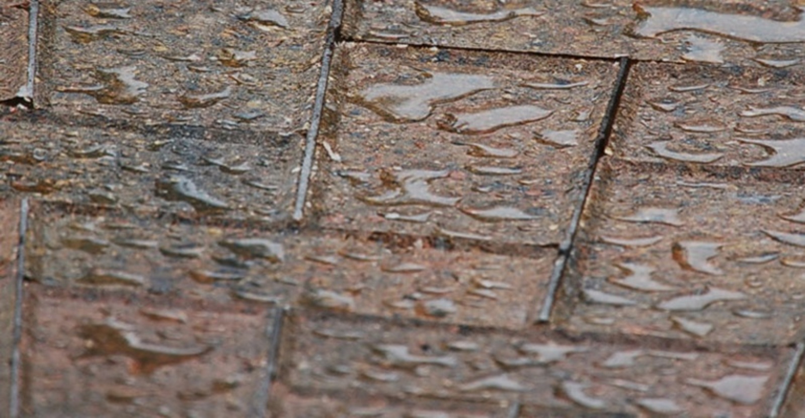 Sealing Pavers Protects your Investment