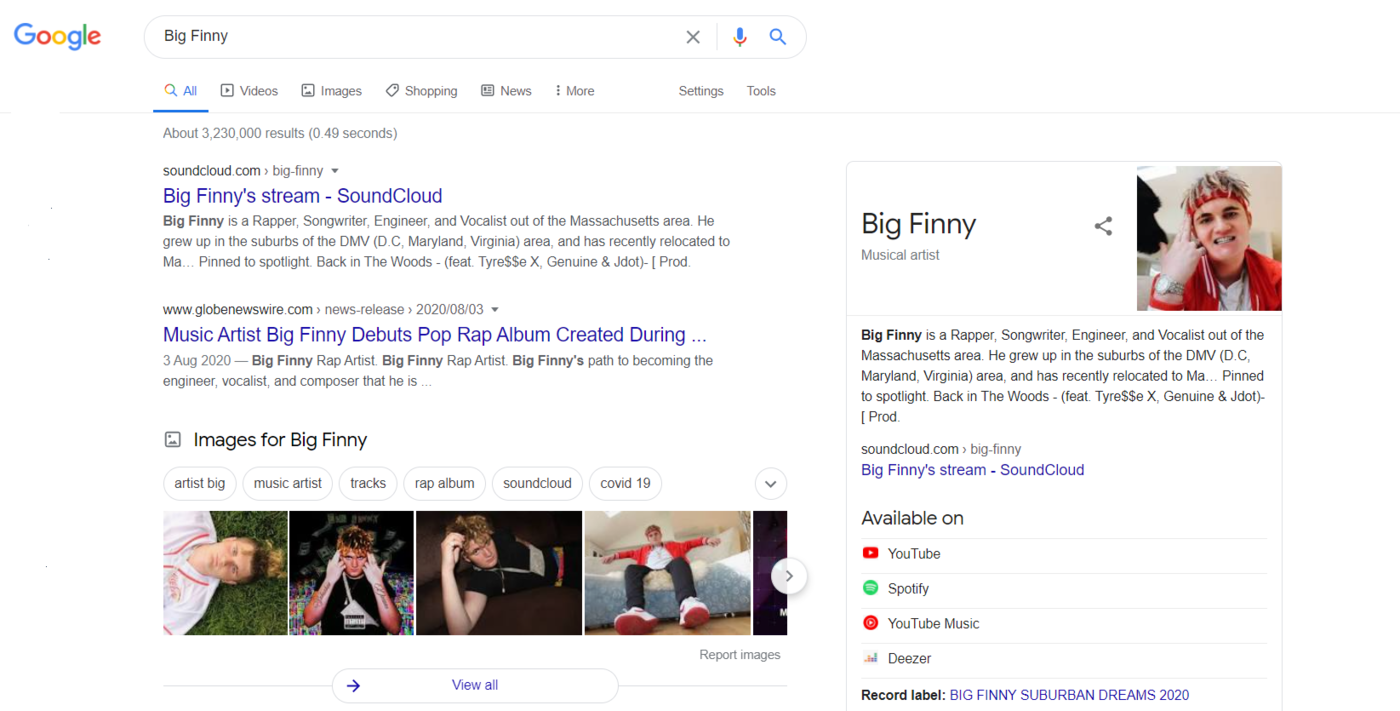 Example  Google Knowledge Panels of Big Finny