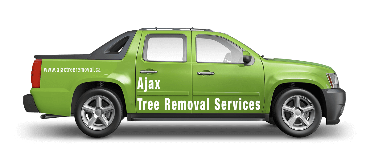 Ajax Tree Removal Service