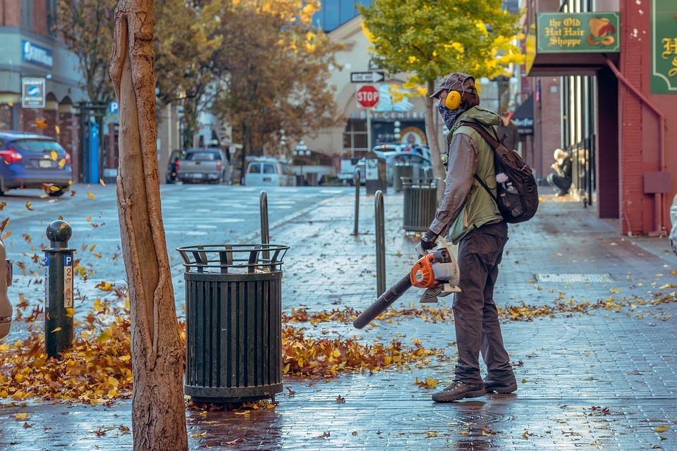 Leaf Blowers Guide