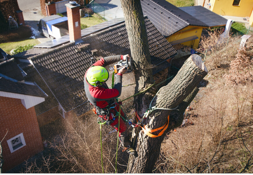 Tree Removal Niagara Falls Announces Expansion of Services to Entire Niagara Region