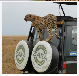 Tanzania Tourism - Safari with Zara Tours