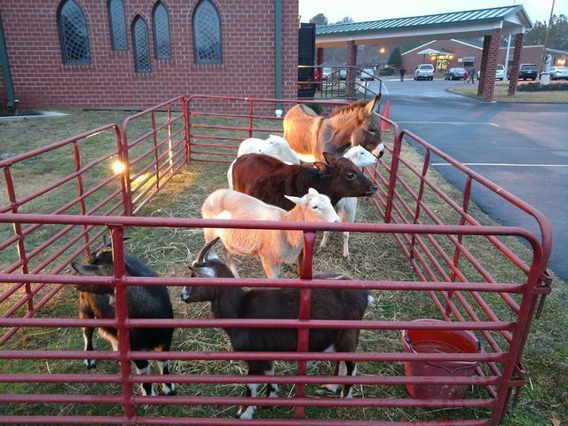 Carolina Fun Factory Offering Live Nativity Scenes for Holiday Events