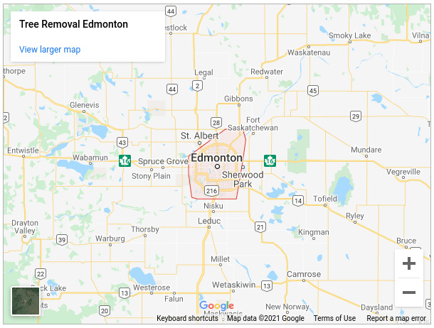 Tree Removal Edmonton