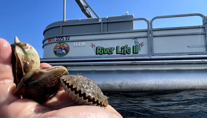 Nature Coast Eco Tours, the one-stop destination for scenic boat cruises and kayak adventures