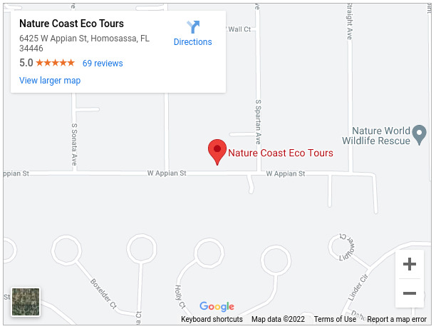 Nature Coast Eco Tours