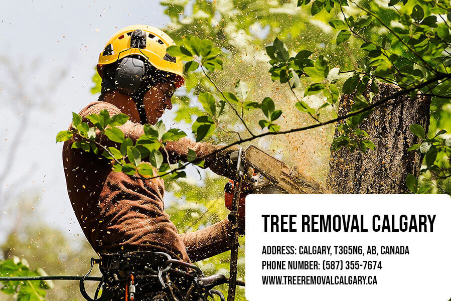 Tree Removal Calgary – Calgary, Alberta
