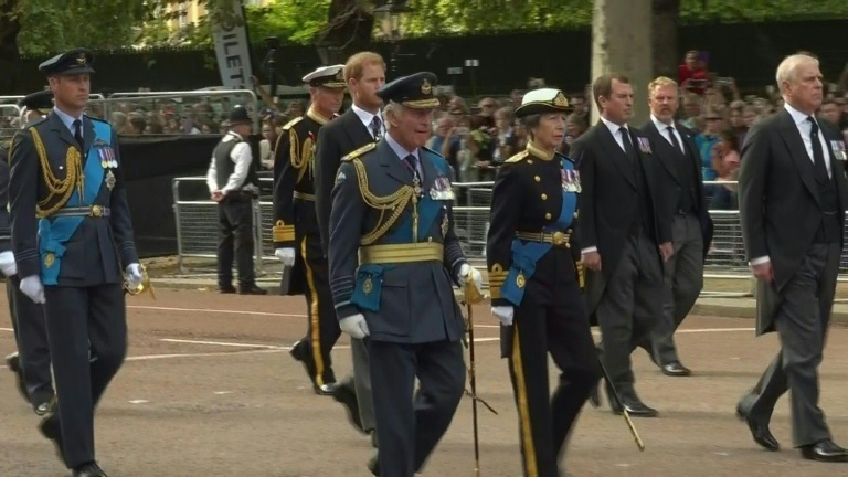 History Evoked As William Harry Walk Behind Queen S Coffin
