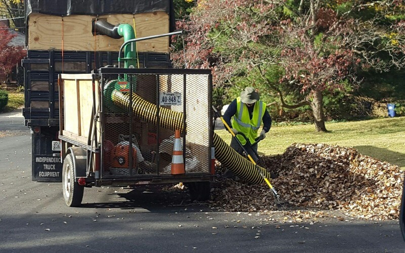 Revo Garden offers top-quality gardening, yard cleanup, lawn care, and junk removal services in Alamo, Orinda, Danville, Lafayette, Moraga, and Walnut Creek in California