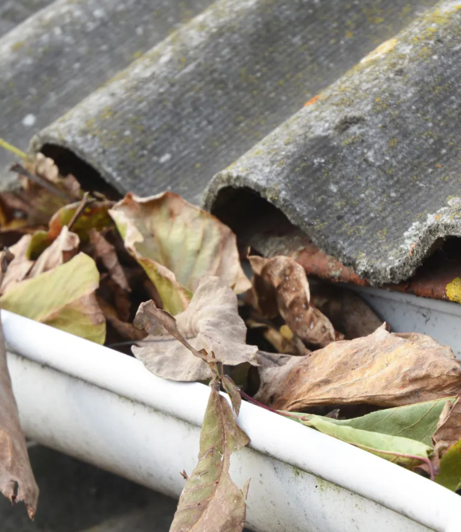 Surrey Gutter Cleaners