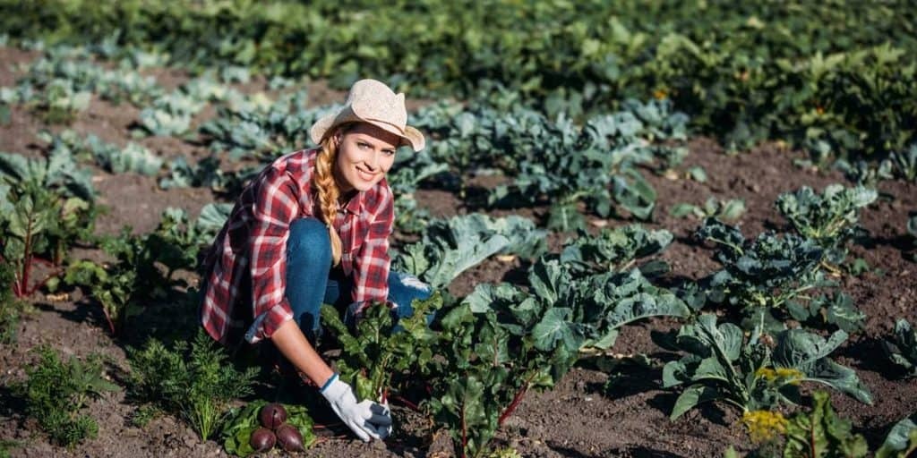 Blue Collar Brain is an online resource center for careers that do not require a college degree