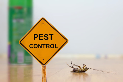 Pest Control Whittlesea