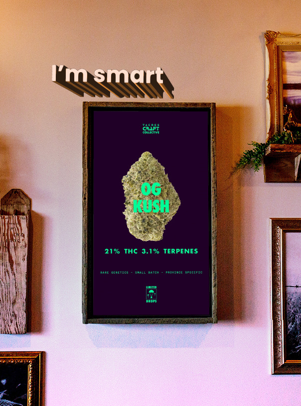BudSense, based in Regina, Saskatchewan, Canada, provides digital signage solutions equipped with Smart Playlists
