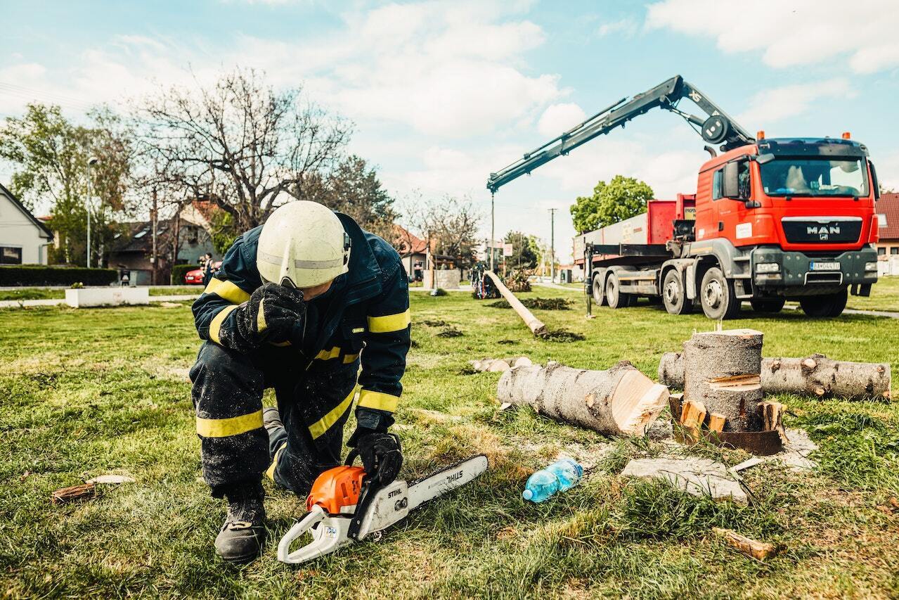 Greenworker.se, based in Stockholm, Sweden, is a leading platform that helps users find certified arborists for both residential and commercial projects.