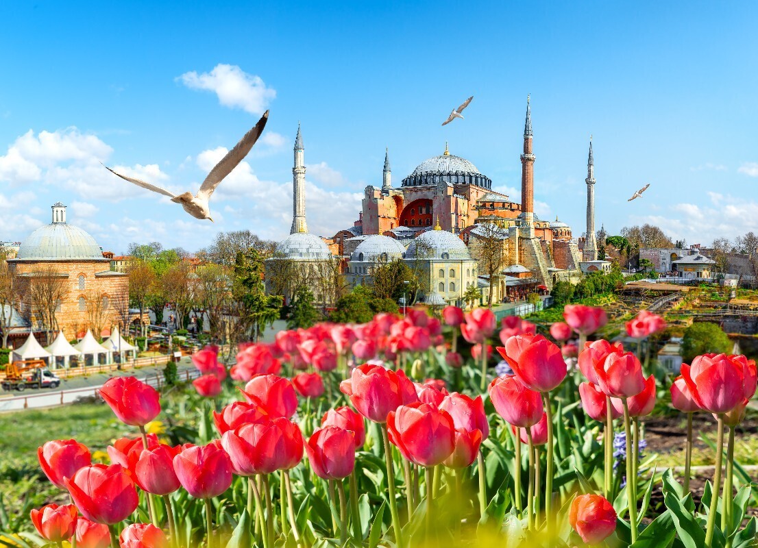 Getting a Taste of Local Culture: Traditional Turkish Festivals and Events