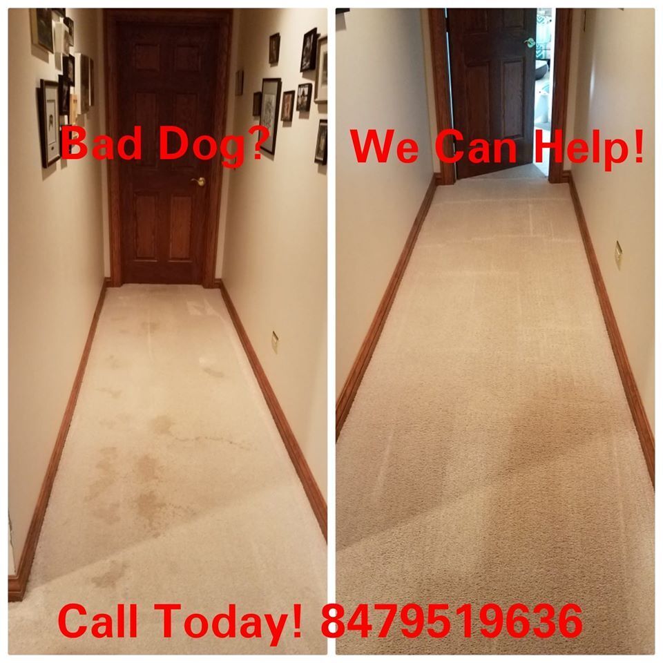 Supreme Cleaning Company is a leading Lake Villa carpet cleaning company that offers house exterior washing services.