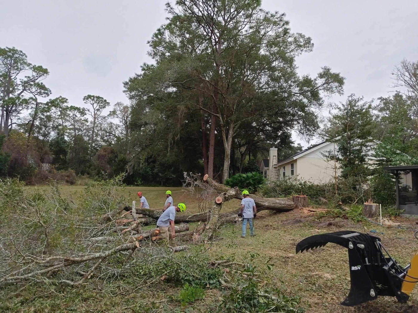 Located in Sanford, FL, Gregg’s Quality Tree Care offers a wide range of tree services to address the specific challenges of Florida’s diverse arboreal landscapes.