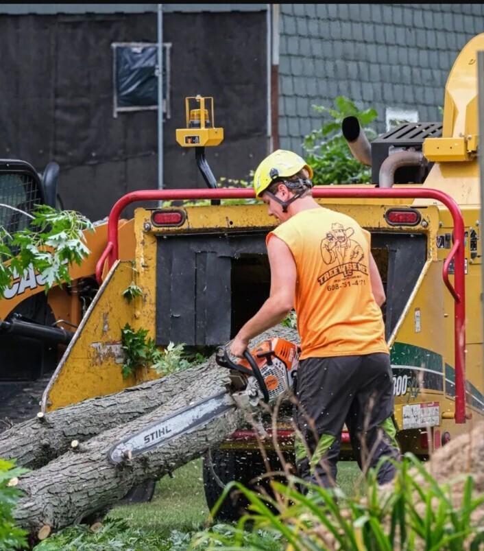 Tree Wise Men LLC is a premier provider of tree services in Janesville, WI, offering tree removal, trimming, stump grinding, and plant health care.