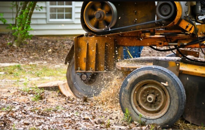 Idaho Falls Tree Services is a professional tree care company serving Bonneville, Bingham, and Jefferson counties.