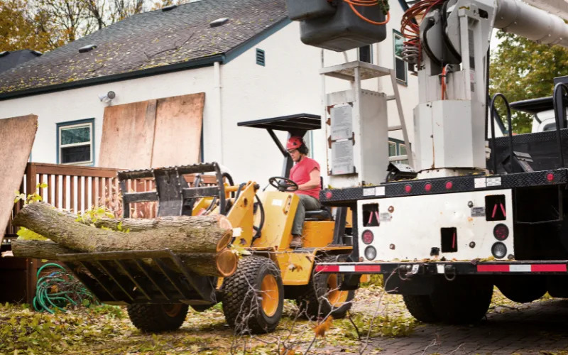 Erie Tree Services is a premier provider of comprehensive tree care solutions in Erie, PA, aimed at enhancing the beauty and health of both residential and commercial properties.