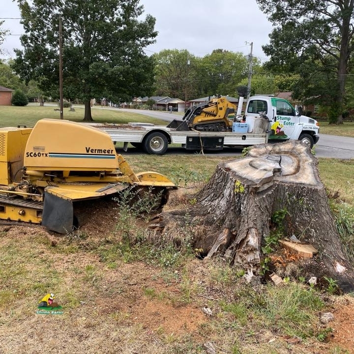 Stump Eater Tree Service is a professional company offering top-rated tree healthcare services in Murfreesboro, TN.