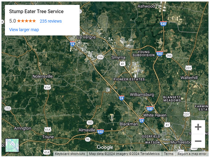 Stump Eater Tree Service