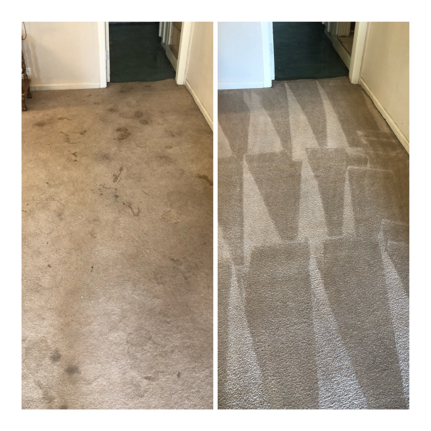 Discover Carpet Care has provided professional carpet cleaning services to Bexar County, TX, for over a decade.