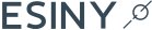 The Endoscopic Spine Institute of New York specializes in minimally invasive surgical techniques that improve patient outcomes through innovation.