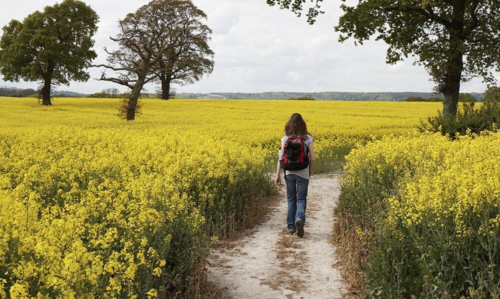 South Downs Discovery creates high-quality, great-value self-guided walking holidays on the South Downs Way.