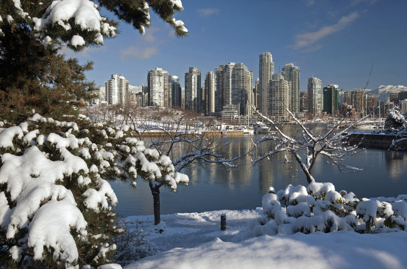 Snowy day in Vancouver British Columbia, a heightened need for proactive snow removal and plowing services