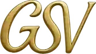 The Generative Search Visibility GSV Information Hub stands as a premier educational resource for AI technology and search visibility strategies in North Texas.