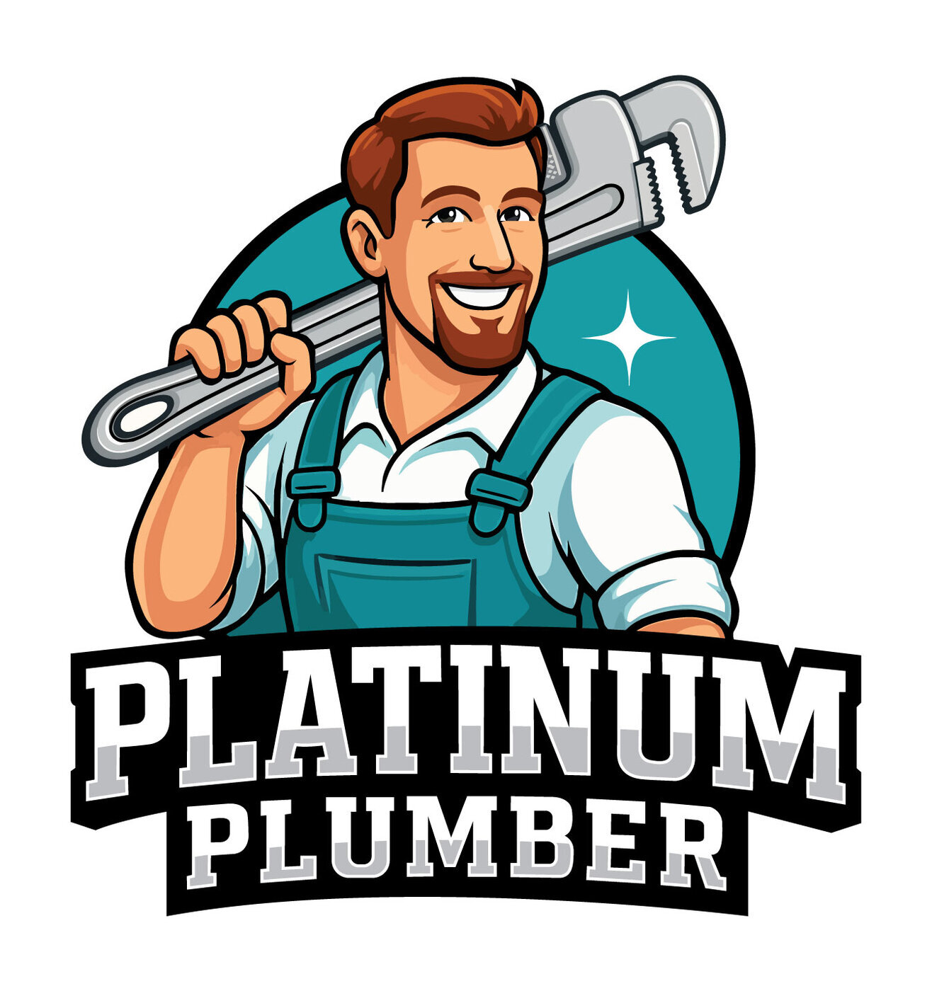 Platinum Plumber provides high-quality residential plumbing services throughout Maryville, TN.