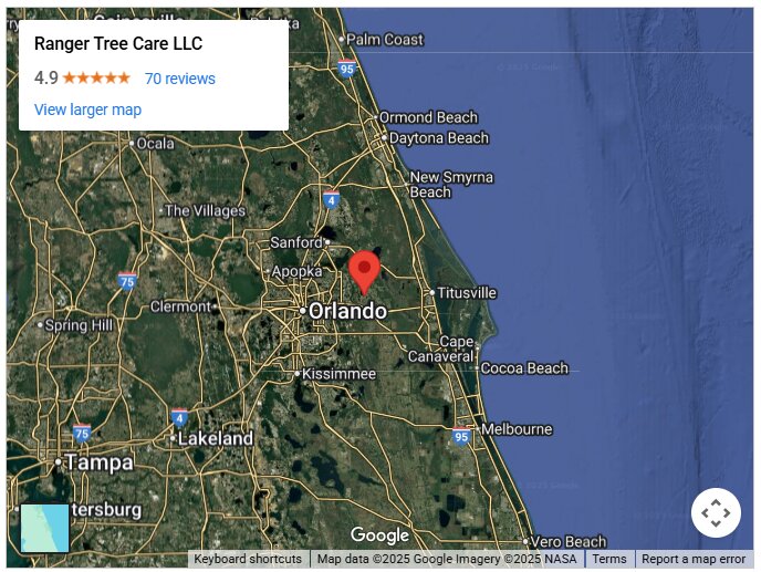 Ranger Tree Care LLC