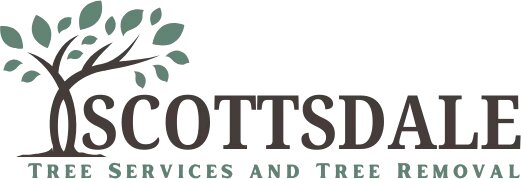 Scottsdale Tree Services and Tree Removal provides safe, professional solutions for tree trimming, tree care, stump removal, and cactus removal across the Scottsdale area.