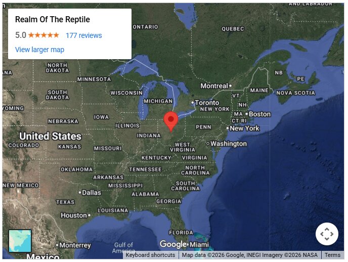 Realm Of The Reptile