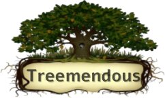 Treemendous Tree Care helps property owners navigate complex tree-related decisions.
