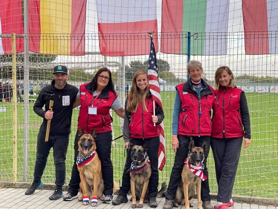 Dog Dynamix focuses on solving the practical challenges dog owners face in daily life.