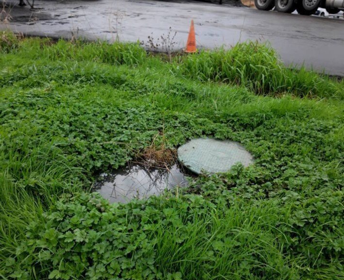 Septic Solutions LLC is a family-owned and operated septic service company founded in January 2025 and backed by more than eight years of industry experience.