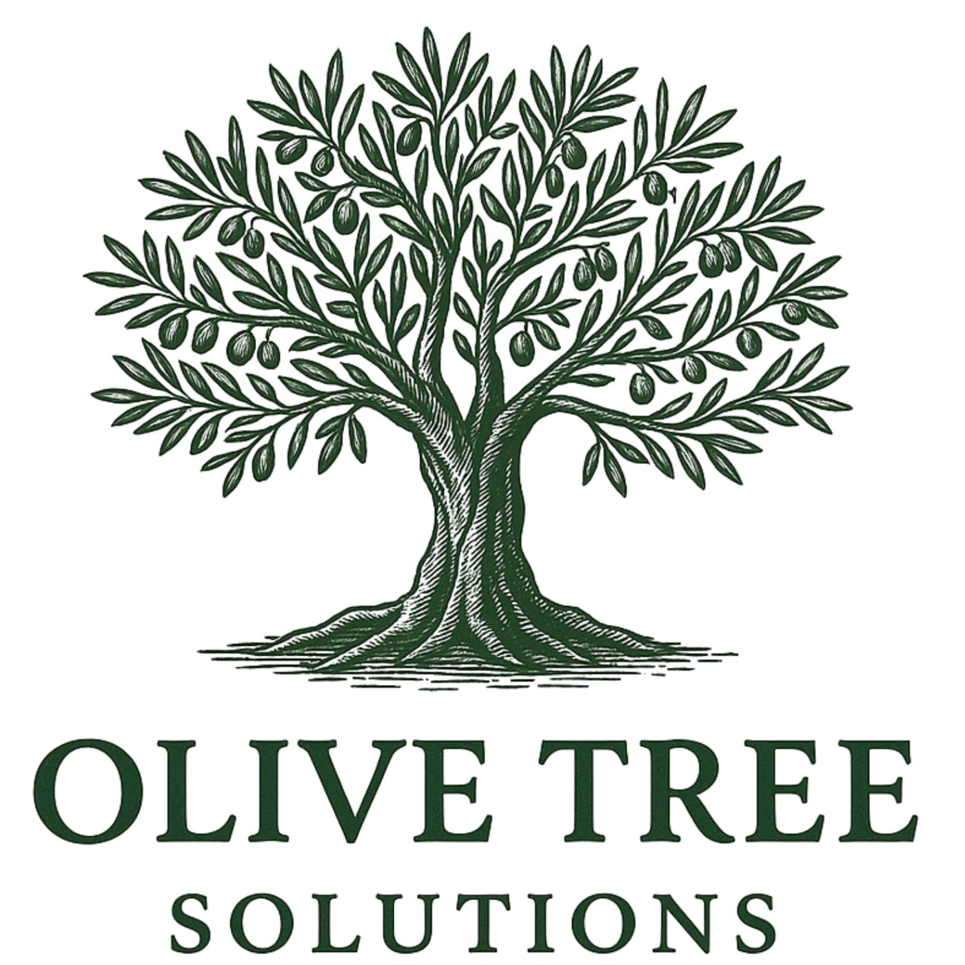 Olive Tree Solutions is a Watchung, New Jersey-based company specializing in foreclosure surplus recovery, excess proceeds recovery, and tax sale overage claims.