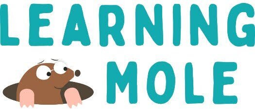 LearningMole is an educational platform based in Belfast, Northern Ireland, founded by former primary school teacher Michelle Connolly.