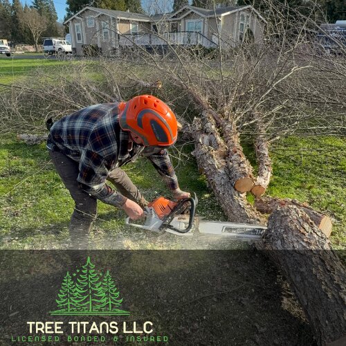 Tree Titans LLC is a locally owned and operated tree service company based in Grants Pass, Oregon.