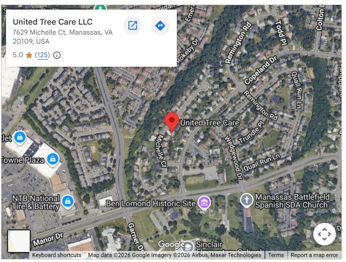 United Tree Care LLC