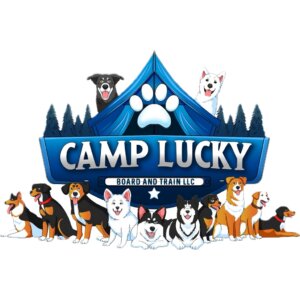 Camp Lucky Board and Train Oklahoma City provides professional dog training services focused on obedience, behavior modification, and real-world reliability.