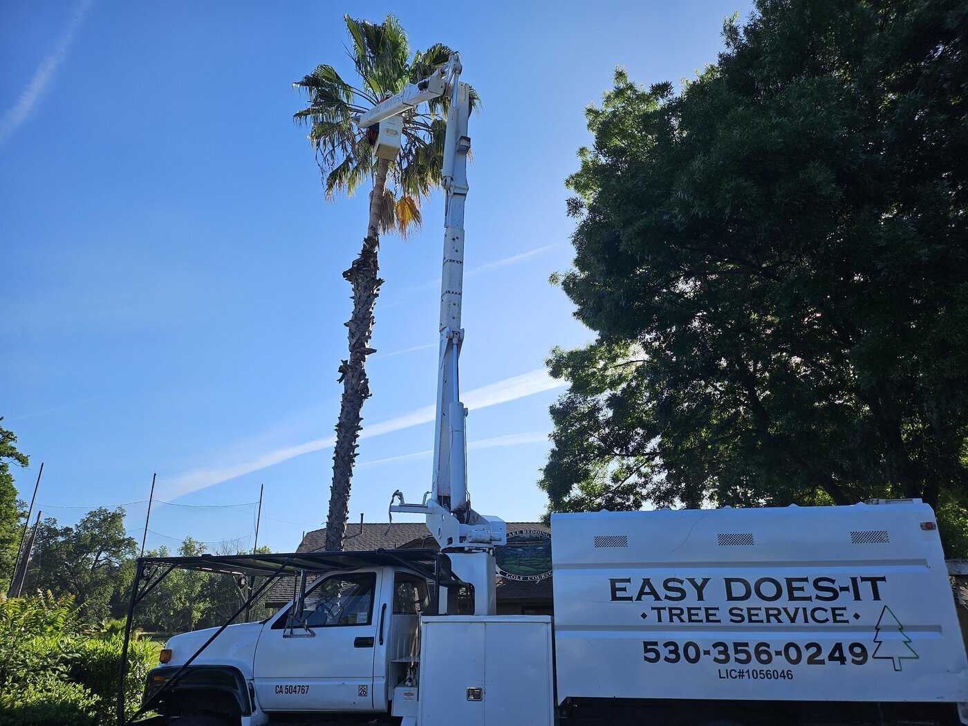 Easy Does It Tree Service provides dependable tree care solutions across Redding, CA, while supporting community spaces through practical and safety-driven initiatives.