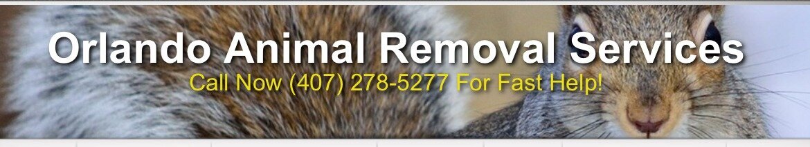 Orlando Animal Removal Services provides wildlife trapping and removal solutions across Central Florida, specializing in wild hog, rodent, and nuisance animal control.