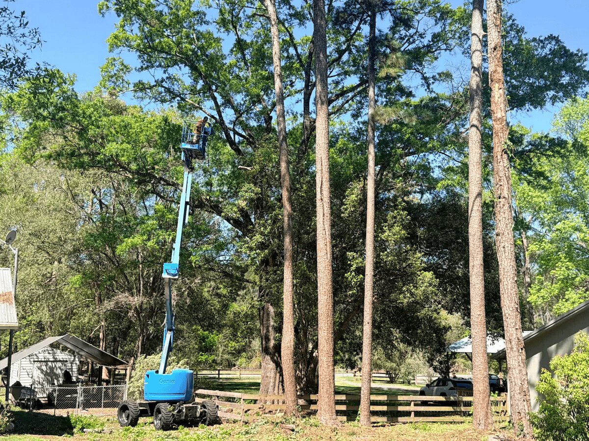 Big Fish & Little Fish Tree & Lawn Service, LLC is a family-owned, faith-based tree and lawn company founded in 2017 and based in Glen St. Mary, Florida.