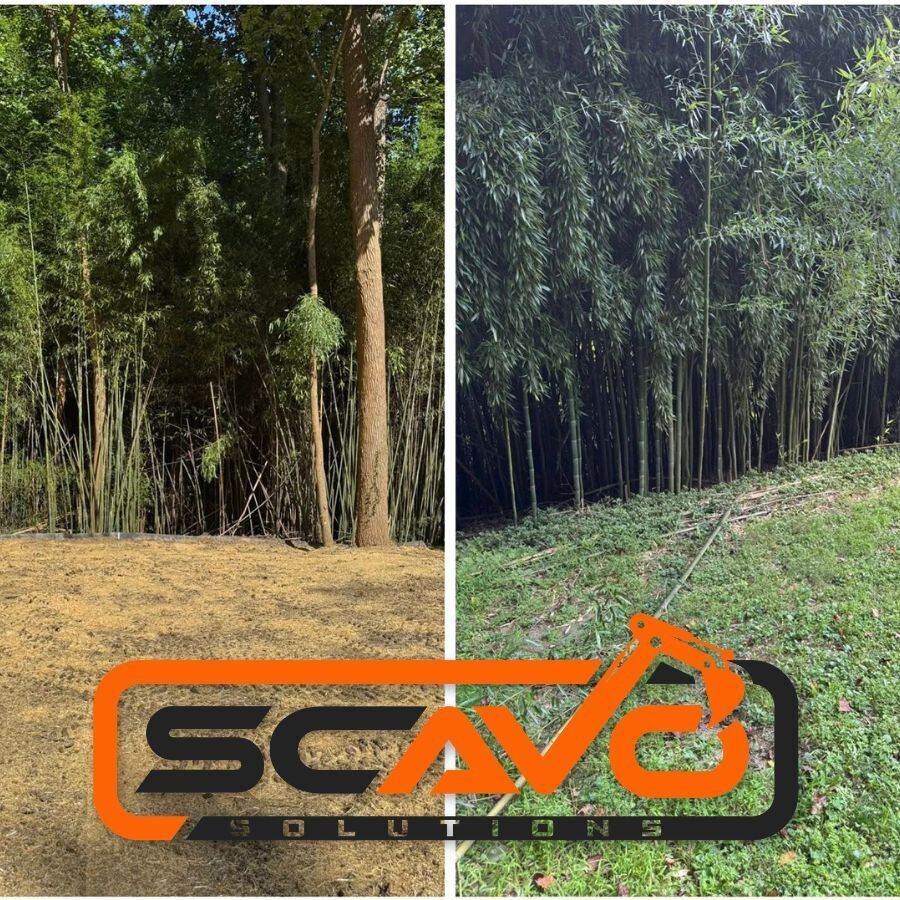 Scavo Solutions