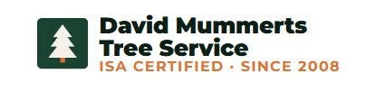 David Mummerts Tree Service operates with the understanding that hurricane damage often begins long before the first warning is issued.