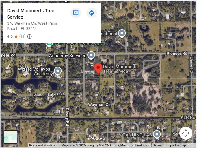 David Mummerts Tree Service