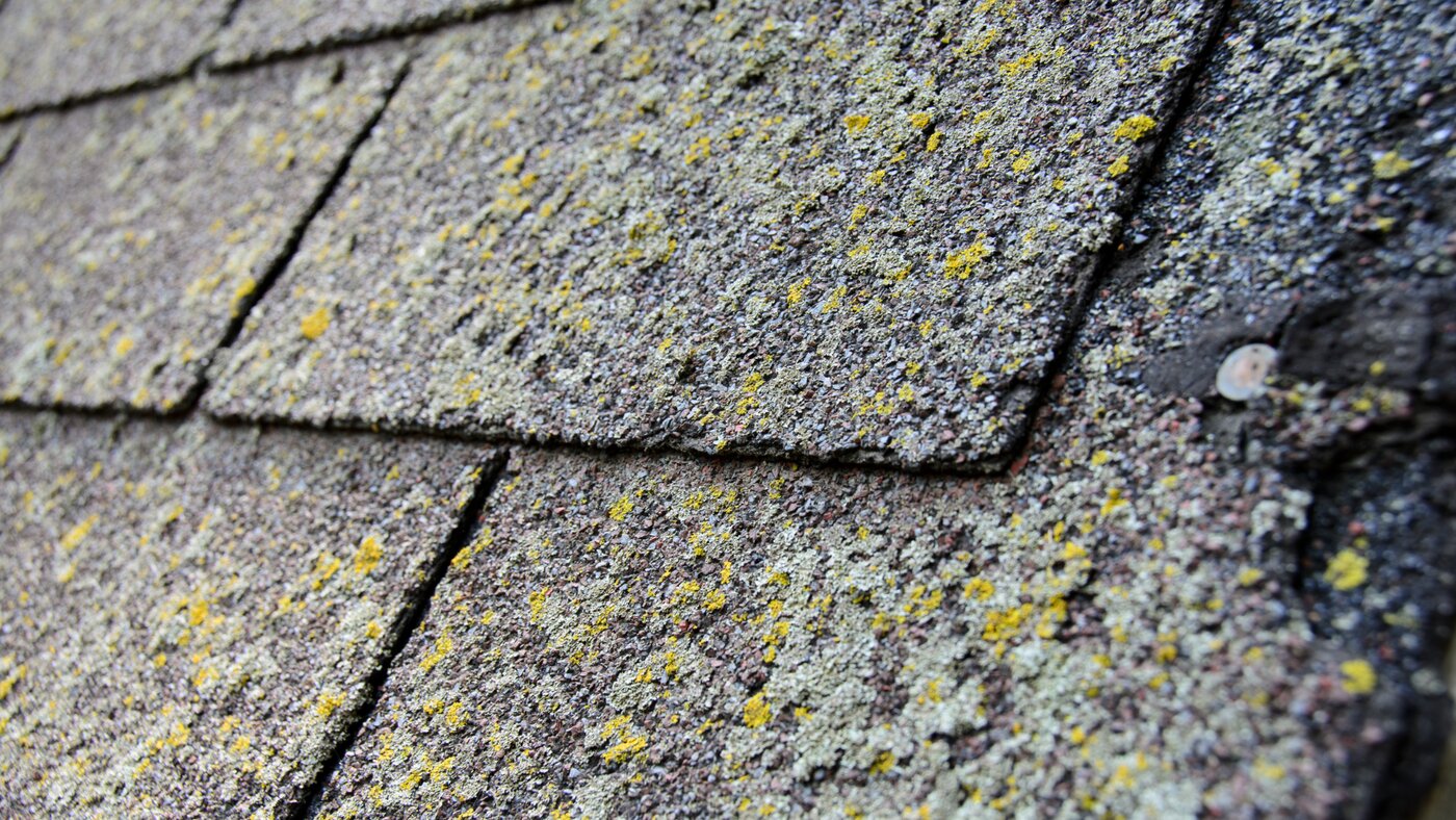 Frogtown Roofing Plus is one of Northwest Ohio's highest-rated roofing contractors, serving homeowners across the Toledo metro and surrounding communities for more than 17 years.
